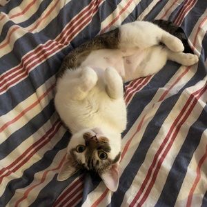 Meet your Posher, Katya